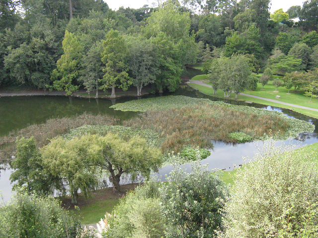 08. March 2017. Eutrophication Cambridge Tree Trust